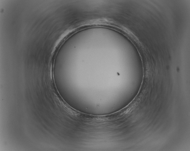 X0000073481224200608211616