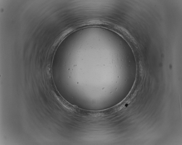 X0000073481225200608211616