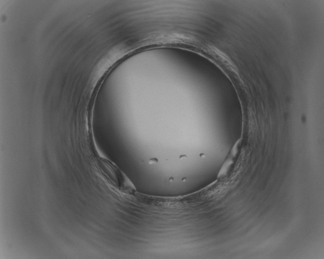 X0000073481226200608211616