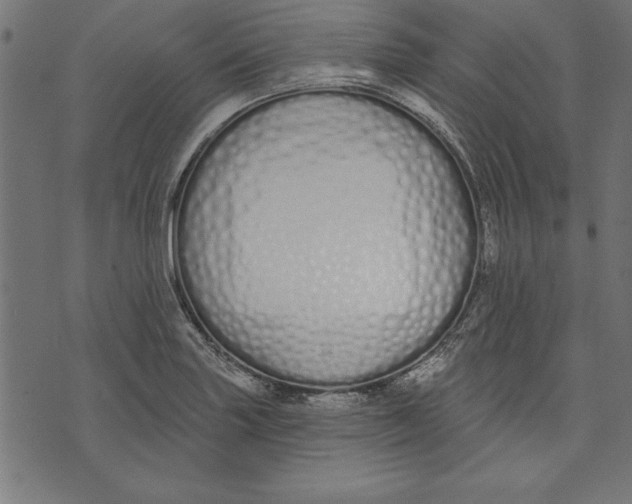 X0000073481227200608211616