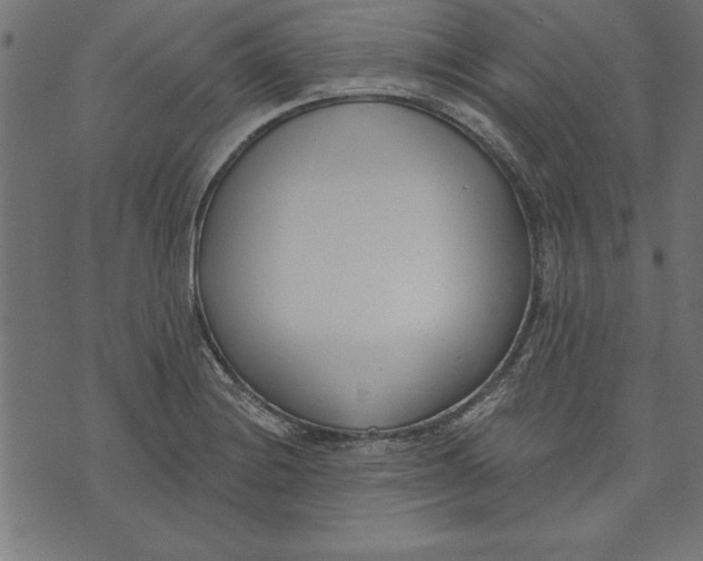 X0000073481228200608211616