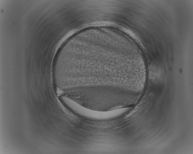 X0000073481229200608211617