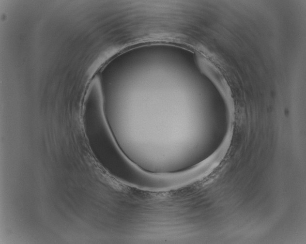 X0000073481230200608211617