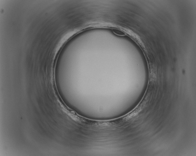 X0000073481231200608211617