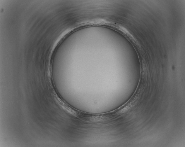 X0000073481232200608211617