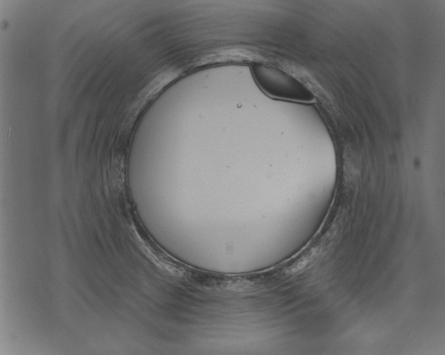 X0000073481233200608211617