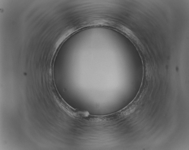 X0000073481234200608211617