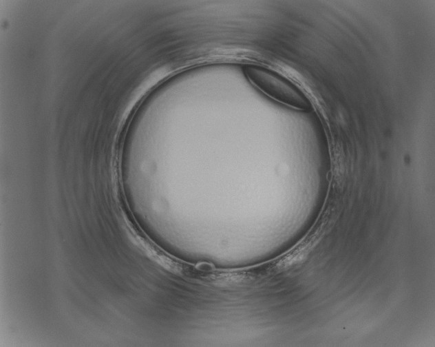 X0000073481235200608211617