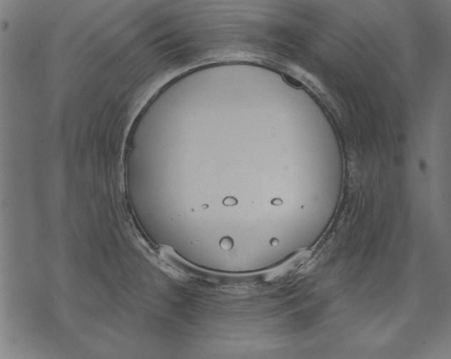 X0000073481236200608211617