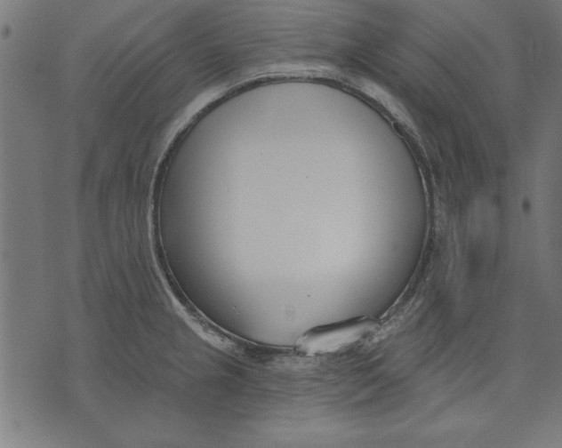 X0000073481237200608211617