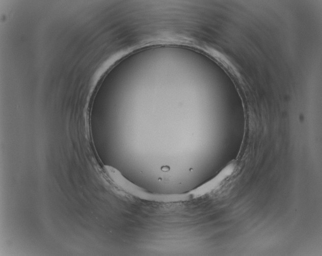 X0000073481238200608211617