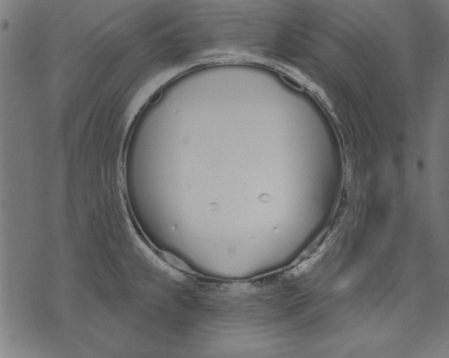 X0000073481239200608211617