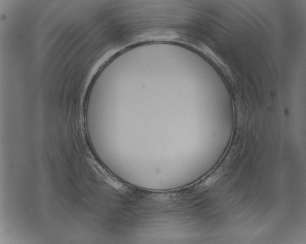 X0000073481240200608211617