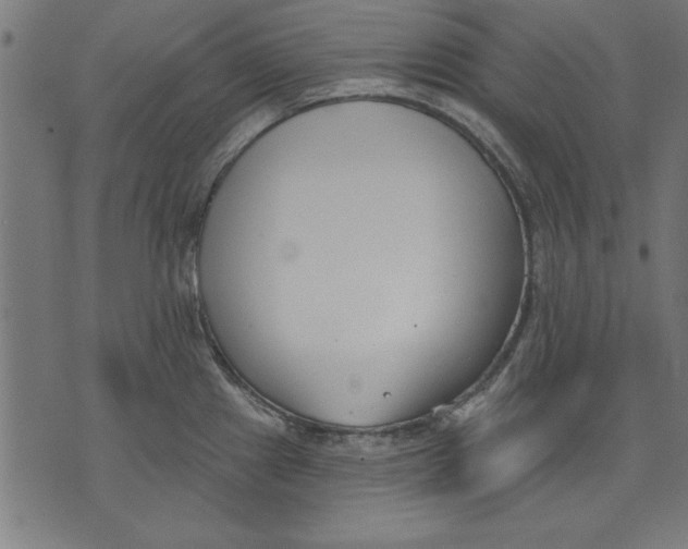 X0000073481241200608211617