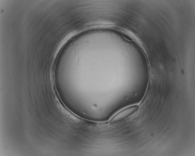 X0000073481243200608211617