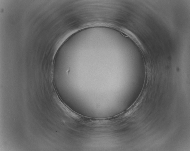 X0000073481244200608211617