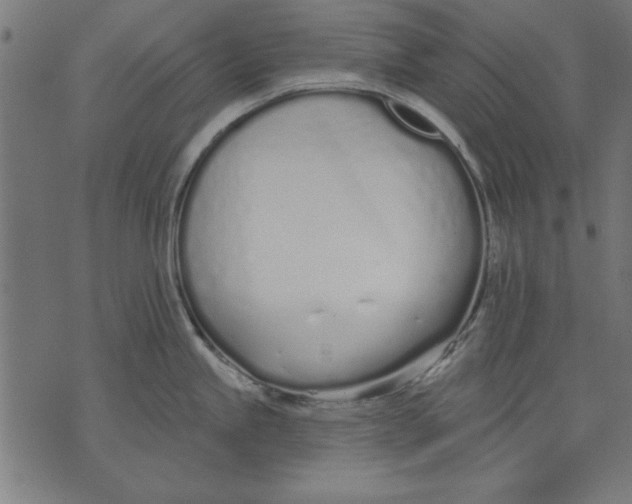 X0000073481245200608211617