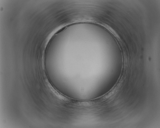 X0000073481246200608211617