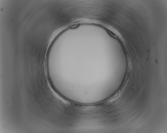 X0000073481247200608211617