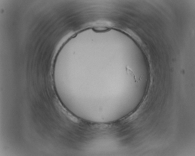 X0000073481248200608211617