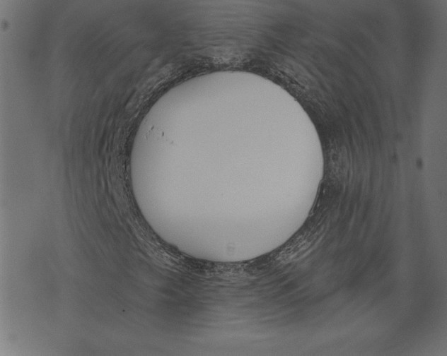 X0000073481249200608211616