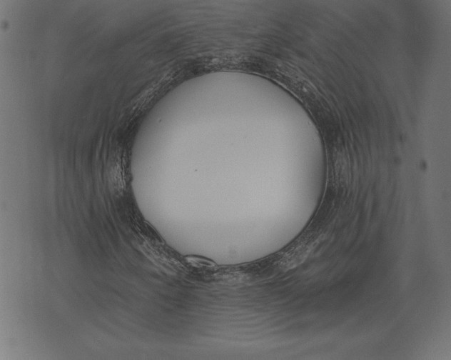 X0000073481250200608211616