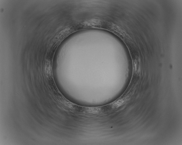 X0000073481251200608211616