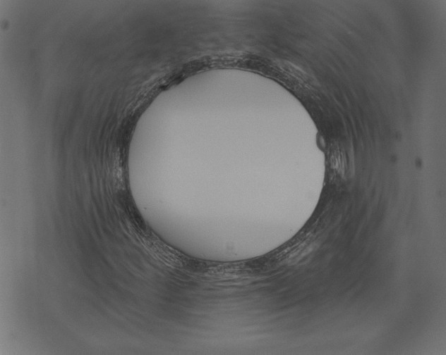 X0000073481252200608211616