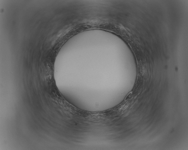 X0000073481253200608211616