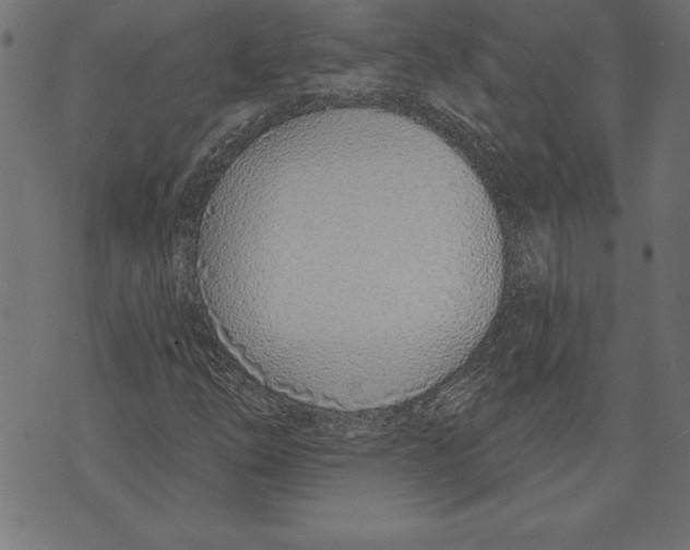 X0000073481254200608211616