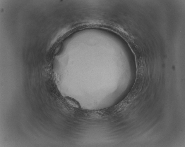 X0000073481255200608211616