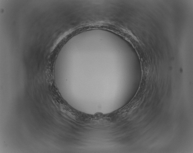 X0000073481256200608211616