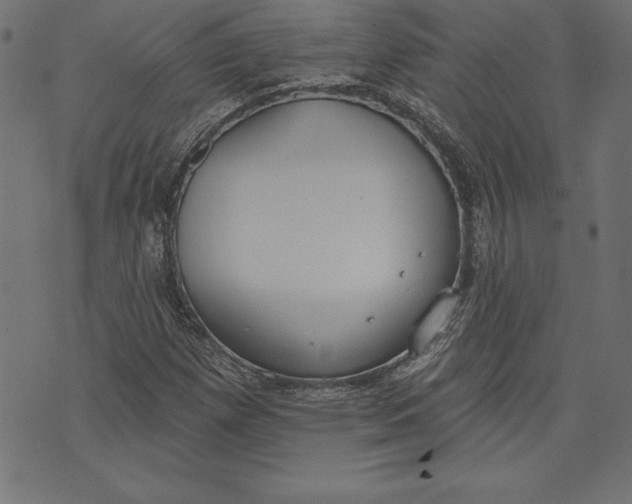 X0000073481257200608211616