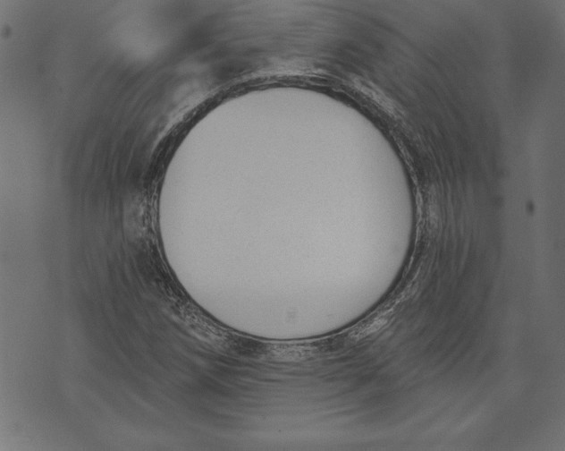 X0000073481258200608211616