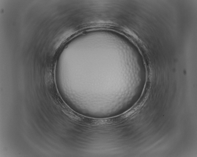 X0000073481259200608211616