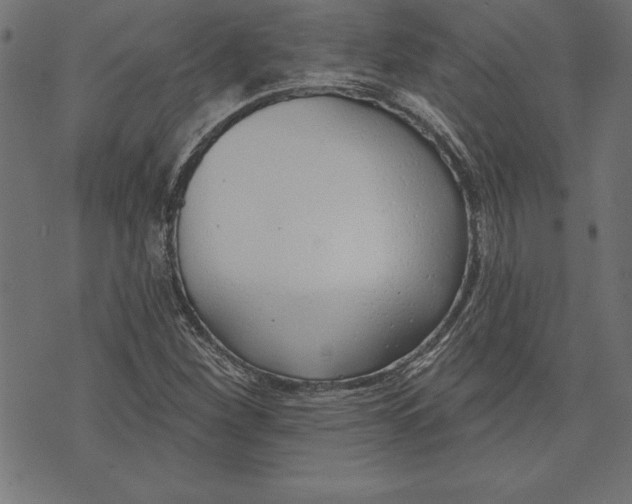 X0000073481260200608211616