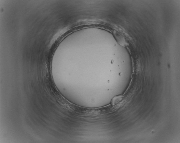 X0000073481261200608211616