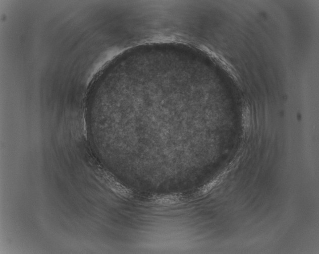 X0000073481262200608211616