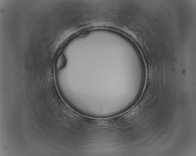 X0000073481263200608211616