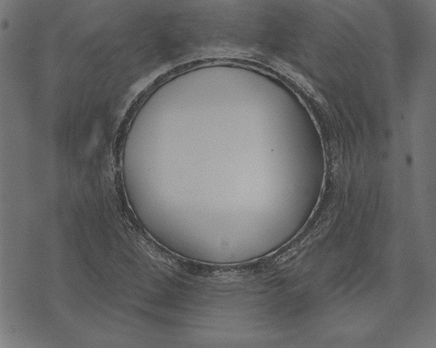 X0000073481264200608211616