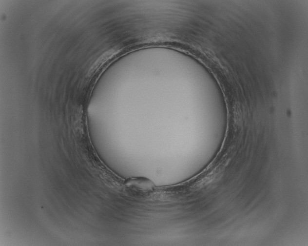 X0000073481265200608211616