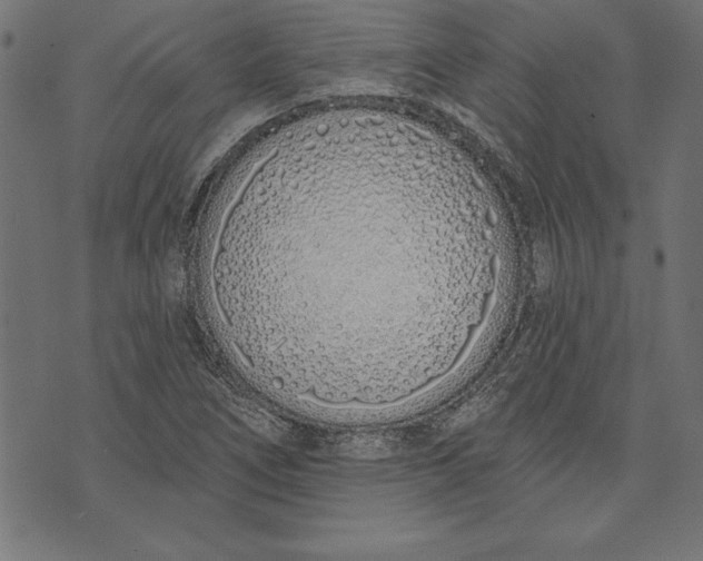 X0000073481266200608211616