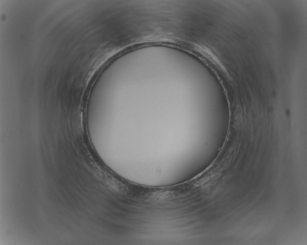 X0000073481268200608211616