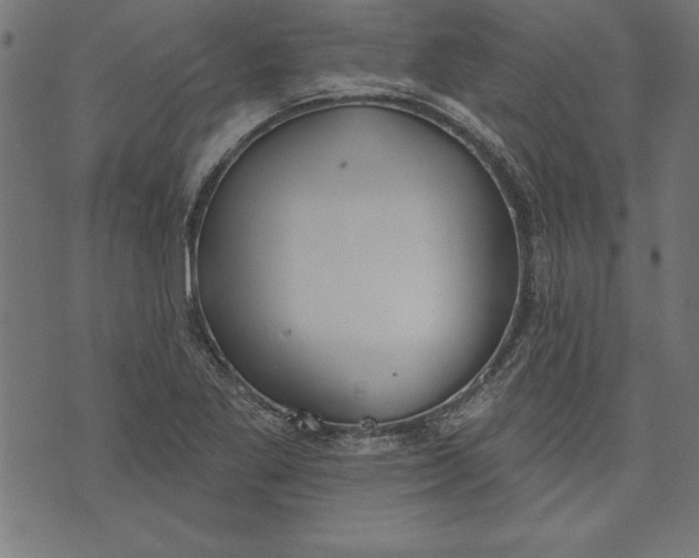 X0000073481269200608211616