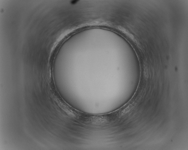 X0000073481270200608211616