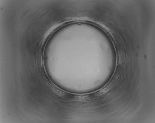 X0000073481271200608211616