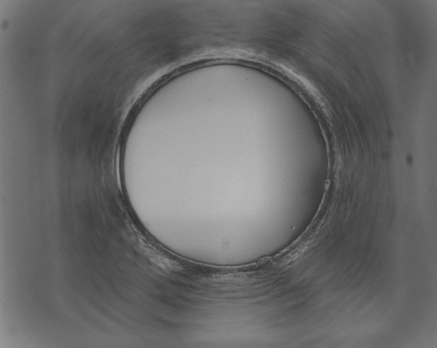 X0000073481272200608211616