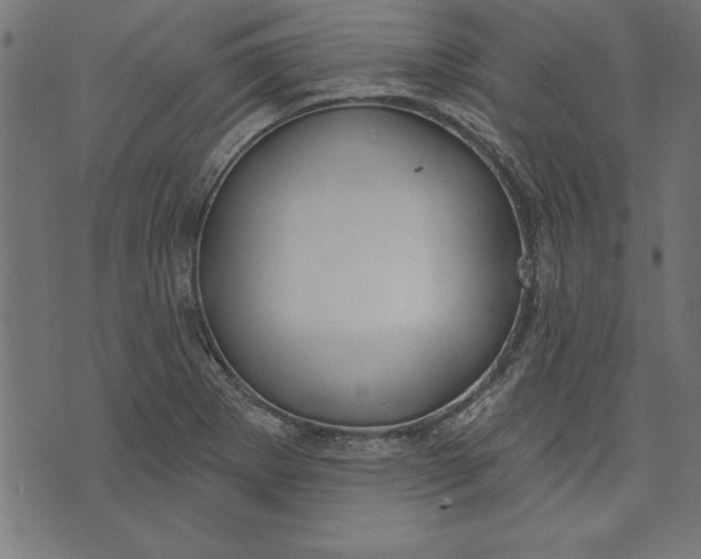 X0000073481273200608211616