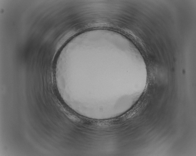 X0000073481274200608211616