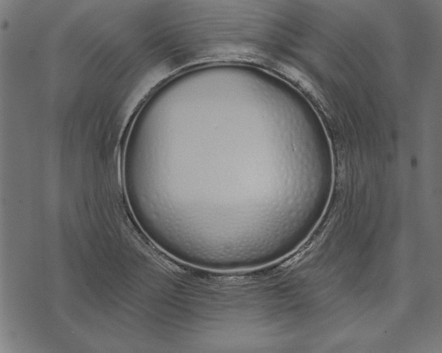 X0000073481275200608211616